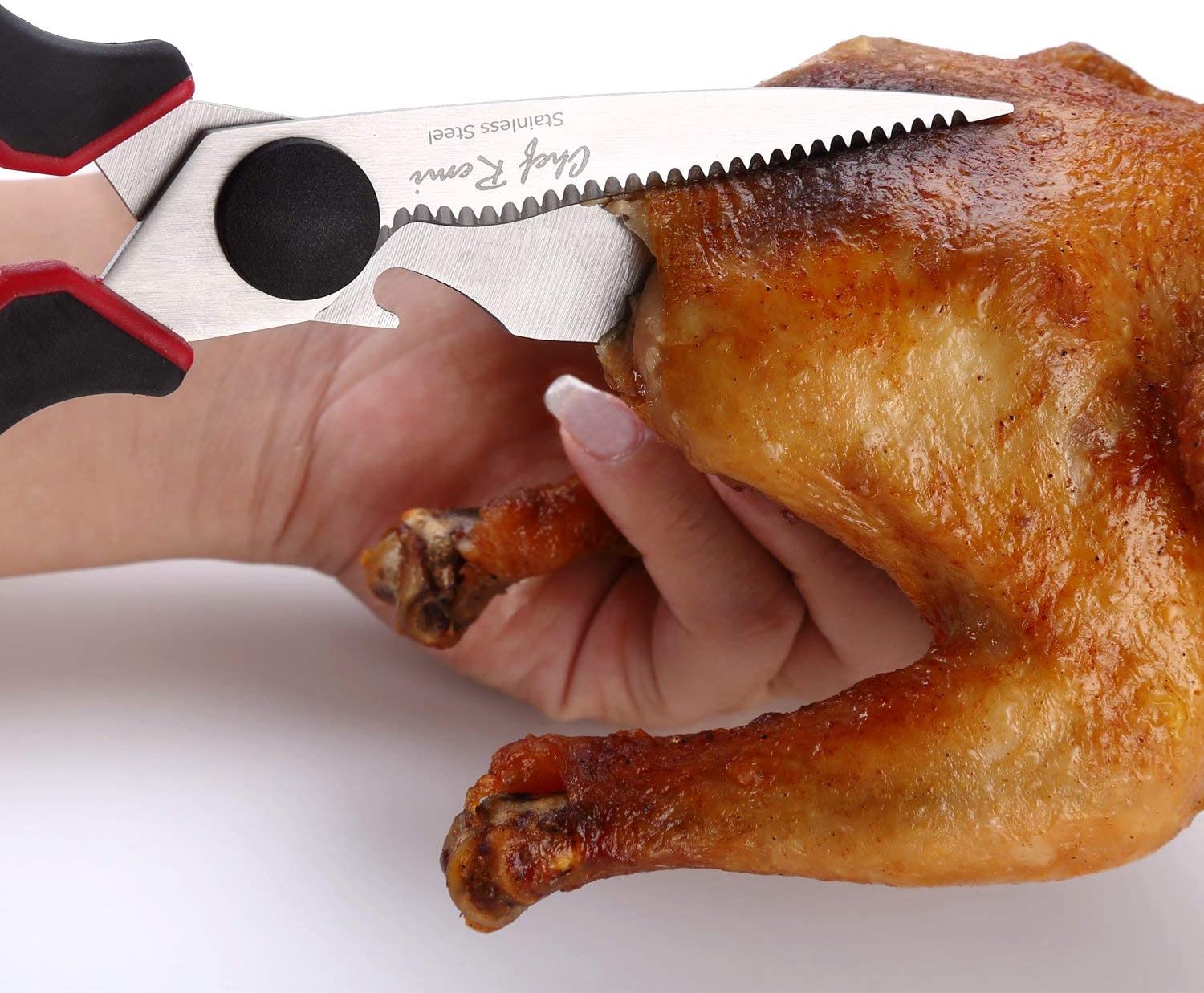 Kitchen Scissors for Meat, Fish, Plant and Gardening | Serrated Detachable Shears with Nut Cracker